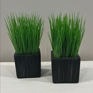 Crate & Barrel Faux Potted Grass